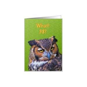  38th Birthday Card with Great Horned Owl Bird Card: Toys 