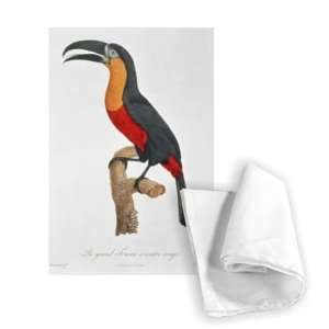  Toucan Great Red Bellied by Jacques   Tea Towel 100% 