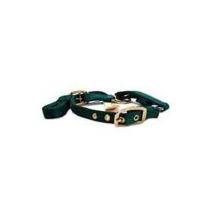  Sheep Show Halter W/ Lead, .75 Green: Everything Else