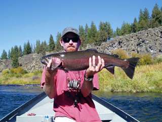   upper klamath redband trout is a unique species of wild fish noted for