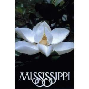  Mississippi Postcard 12310 Magnolia Case Pack 750 