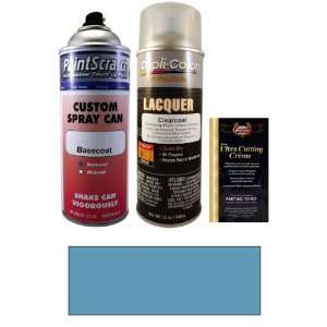   Spray Can Paint Kit for 1966 Chevrolet Truck (507 (1966)): Automotive