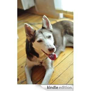 Dog Training Tips for Beginners: Katie Smith:  Kindle Store