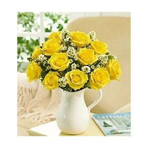Pitcher Full of Roses   One Dozen Yellow Roses:  Grocery 