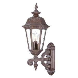  Acclaim Lighting Dorchester Outdoor Sconce: Home 