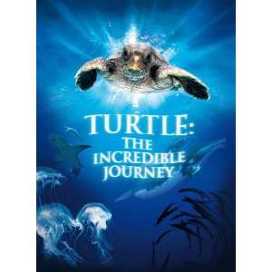  Turtle The Incredible Journey   Movie Poster   27 x 40 
