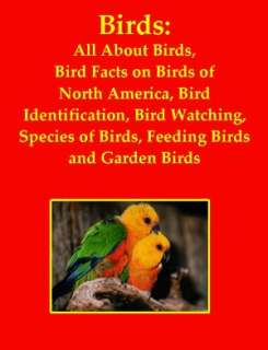 NOBLE  Birds All About Birds, Bird Facts on Birds of North America 