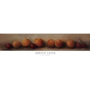   Apricots and Cherries   Poster by Judith Levin (36x9)