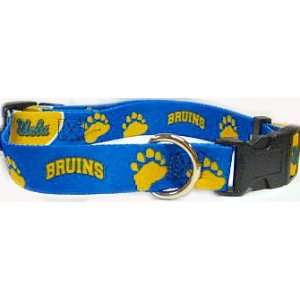  New! Large UCLA Bruins Dog Collar: Pet Supplies
