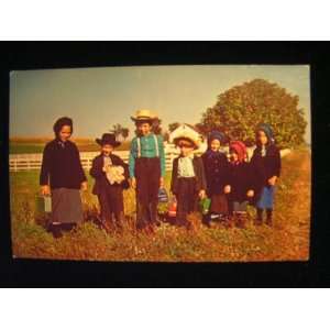 60s Amish School Children in Field, PA Postcard not applicable 