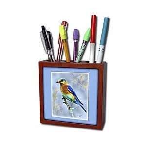  777images Digital Paintings Wildlife   Bluebird wildlife 