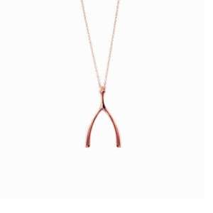  apop nyc 14k Rose Gold Vermeil Wishbone Pendant Necklace 