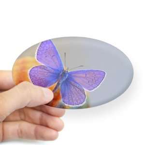  Sticker Clear (Oval) Xerces Purple Butterfly: Everything 