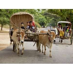  Myanmar, Burma, Bagan, an Ox Drawn Farm Cart Passes a 