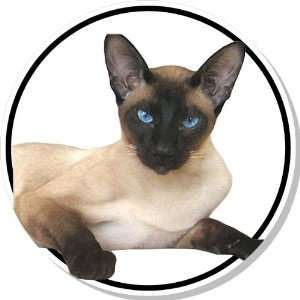  Cute Siamese Cat Bumper Sticker Decal: Everything Else
