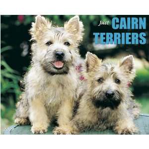  Cairn Terriers 2009 Calendar From Willow Creek Office 