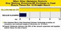 MHP Glutamine SR   Sustained Release   1000 gr 666222074108  