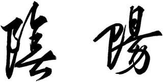Yin/Yang Chinese Kanji Character Vinyl Decal Window  
