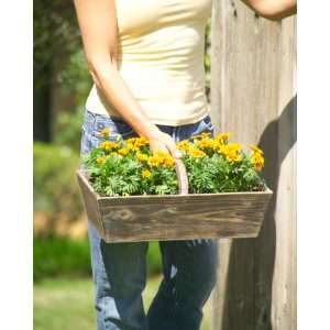  Rectangle Wooden Trug with Handle