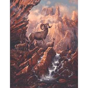  Ted Blaylock   Canyon Lake Bighorns Canvas Giclee