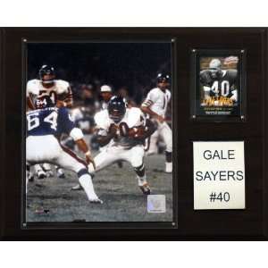  NFL Gale Sayers Chicago Bears Player Plaque: Sports 