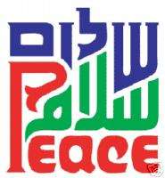 Shalom Salaam Peace Hebrew Arabic t shirt anti war tee  