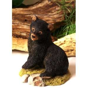  Sherratt & Simpson   Black Bear Cub 
