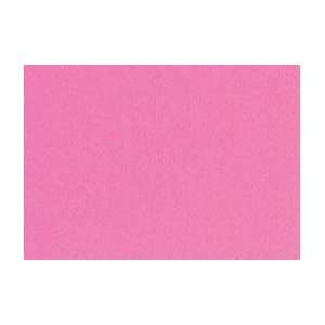  Turner Acryl Gouache 100 ml   Pink: Arts, Crafts & Sewing