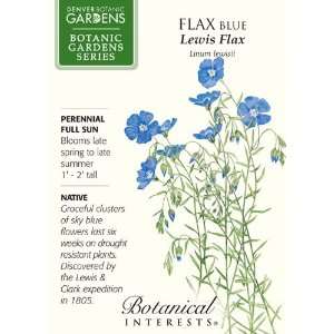 Flax   Blue Lewis Flax  Patio, Lawn & Garden