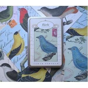  Cavallini Postcard Set  Birds: Arts, Crafts & Sewing