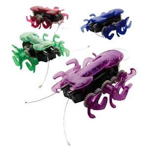  HEXBUG Micro Robotic Creatures, in Ant Toys & Games
