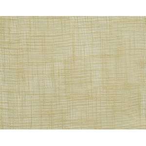  1723 Saxon in Linen by Pindler Fabric