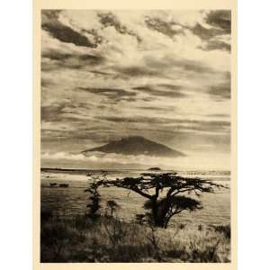   Africa African Savanna   Original Photogravure