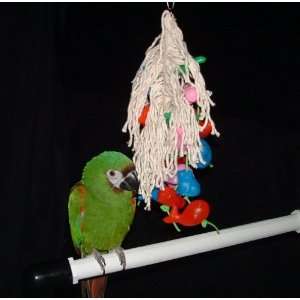   Parrot Toy for African Grey /  Parrots (Junior)
