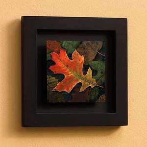   Me Oak Leaf Shadow Box Art by David Wenzel Wild Wings # 5779003592