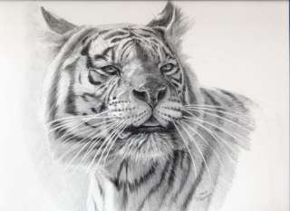 original drawing White Tiger refG2011 01a by SCHUKINA  