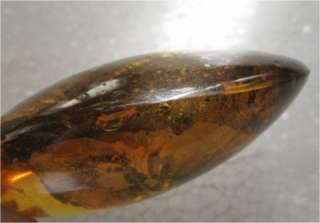 LARGE BALTIC AMBER WITH INCLUSION, FOSSIL, INSECT  