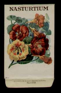 1918 NASTURTIUM FLOWERS GALLOWAY LITHO CO. SEED PACKET  