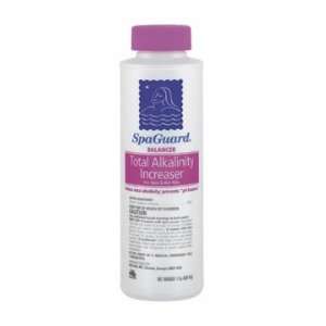  SpaGuard Spa Total Alkalinity   2 Lb