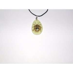 Glow in the dark Real Insect Necklace (YD0784): Everything 