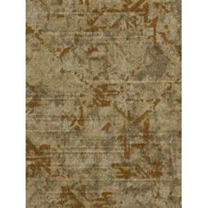  Warm Springs Teastain by Robert Allen@Home Fabric: Arts 
