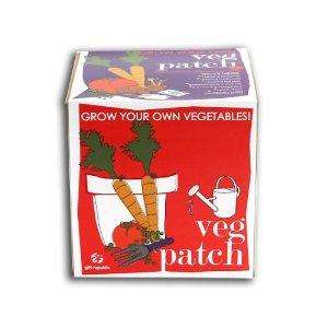 Veg Patch, Sow Plant & Grow Your Vegetables Kit Gardening Seed Starter 