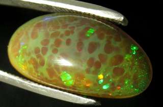 Ethiopian Wello crystal Green Harlequin opal with green, red, blue 