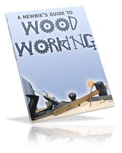   private label rights to a newbie s guide to wood working wonder