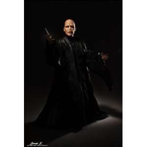  Tonner Harry Potter Lord Voldemort Doll Toys & Games