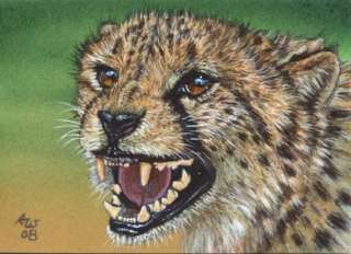 Akiko ORIGINAL ACEO Painting Cheetah Big Cat Wildlife  