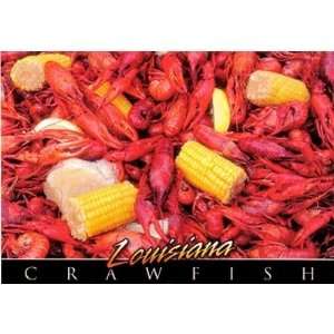  Louisiana Postcard 13228 Crawfish Case Pack 750 