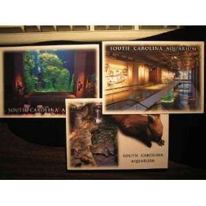 South Carolina Aquarium Postcards, Charleston not applicable 