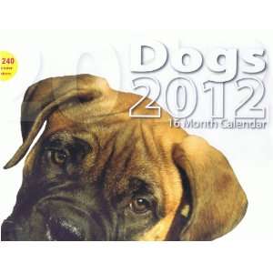  Dogs 2012 16 Month Calendar Regent Products Books