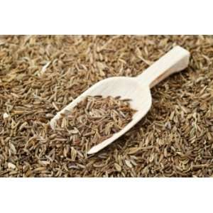  Rye Flavoring and Medicinal Herb Caraway (Carum carvi) 300 Seeds 
